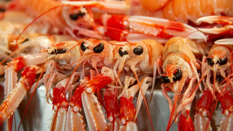 Photo de langoustines après cuisson