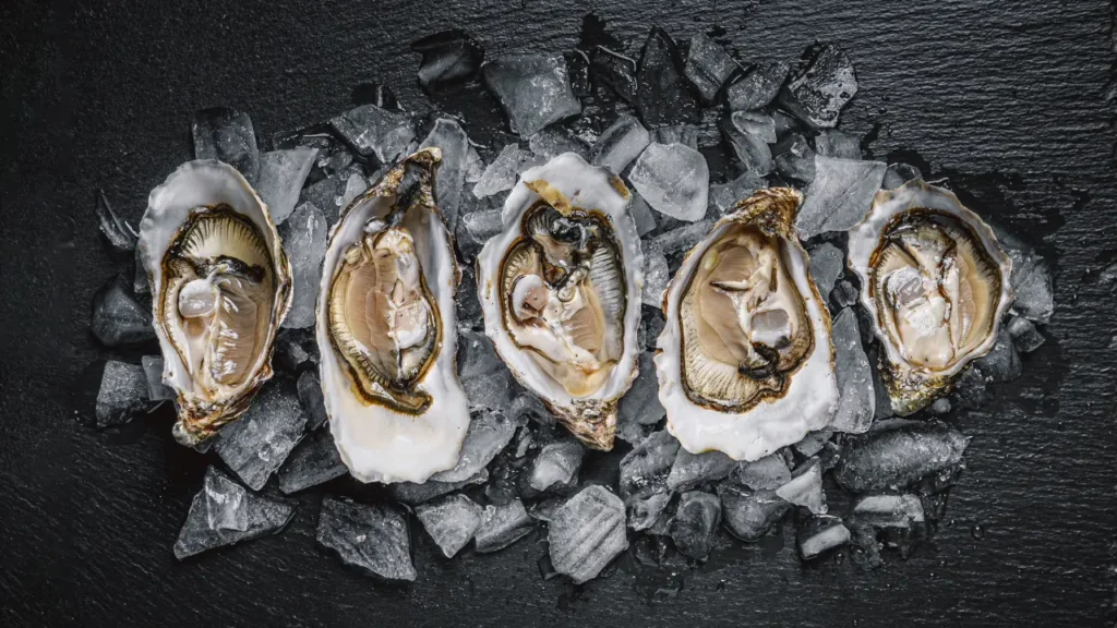 Photo d'huîtres sur la glace vue du dessus