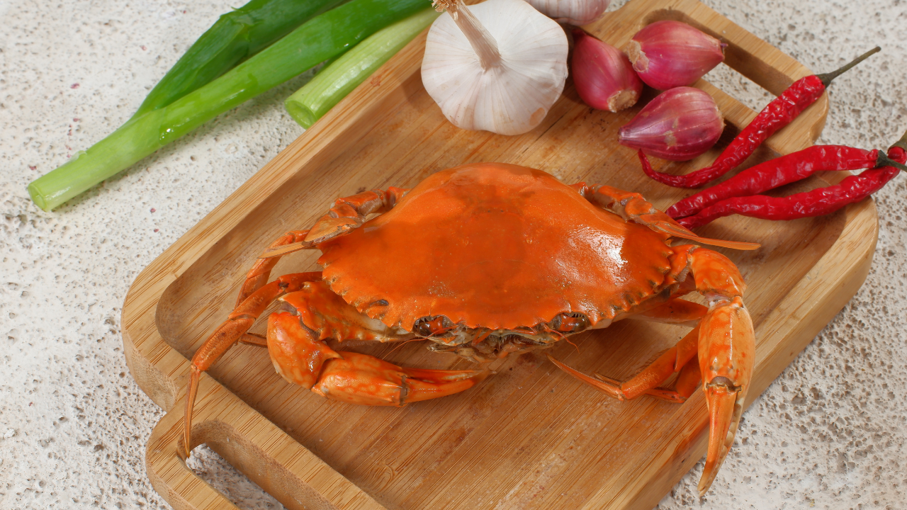 Photo d'un tourteau après cuisson