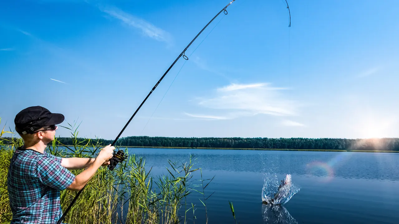 Pêcheur en chemise à carreaux ferrant un poisson au bord d'un lac, canne courbée sous la tension et éclaboussure à la surface de l'eau par un matin ensoleillé